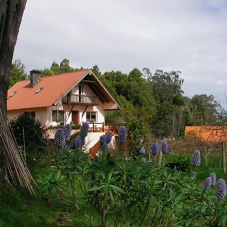 Bio Quinta Do Pantano, Agro Turismo Villa Santo Antonio da Serra Eksteriør billede