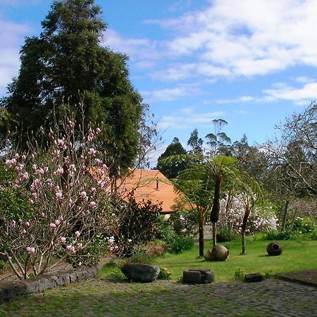 Bio Quinta Do Pantano, Agro Turismo Villa Santo Antonio da Serra Eksteriør billede