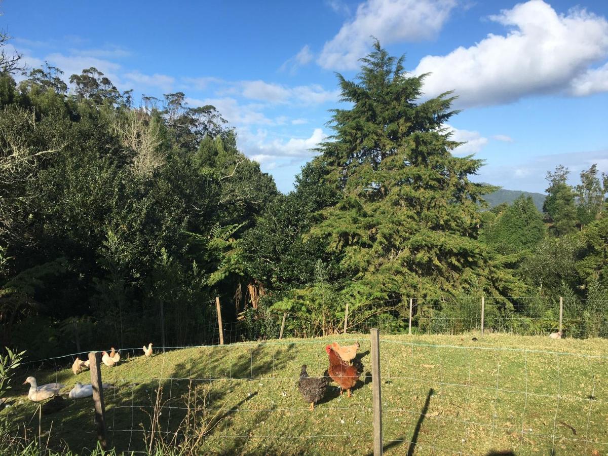 Bio Quinta Do Pantano, Agro Turismo Villa Santo Antonio da Serra Eksteriør billede