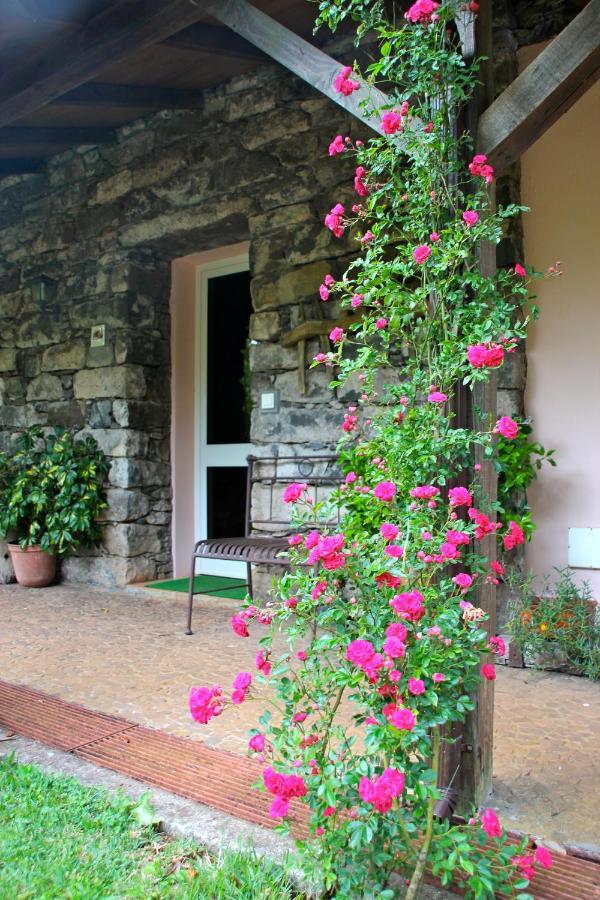 Bio Quinta Do Pantano, Agro Turismo Villa Santo Antonio da Serra Eksteriør billede