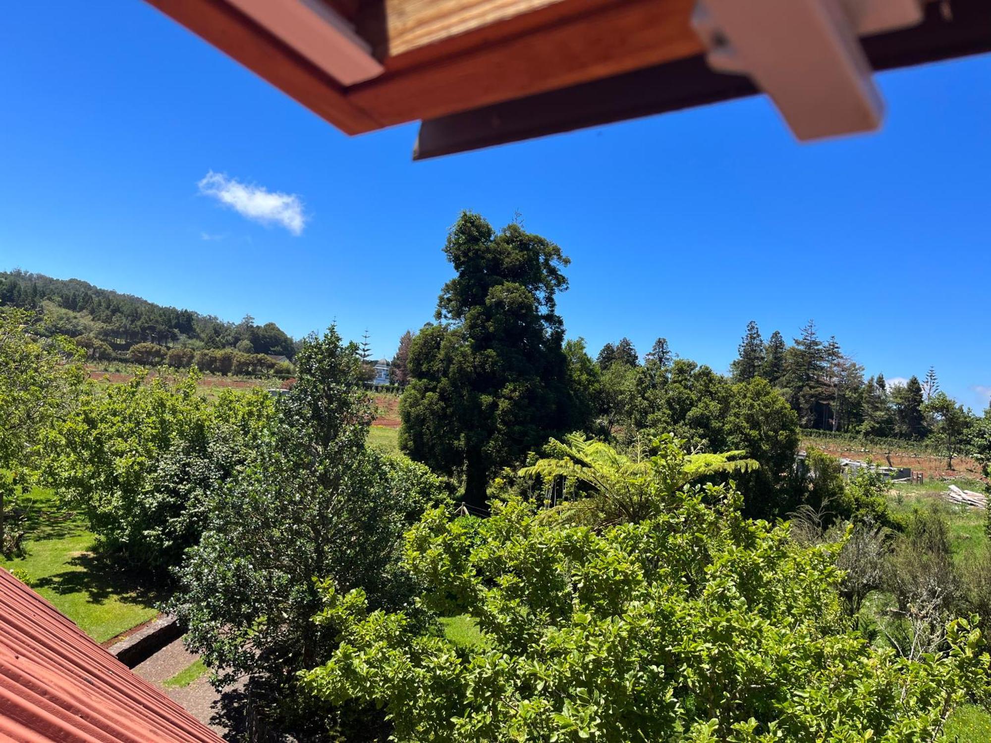 Bio Quinta Do Pantano, Agro Turismo Villa Santo Antonio da Serra Eksteriør billede