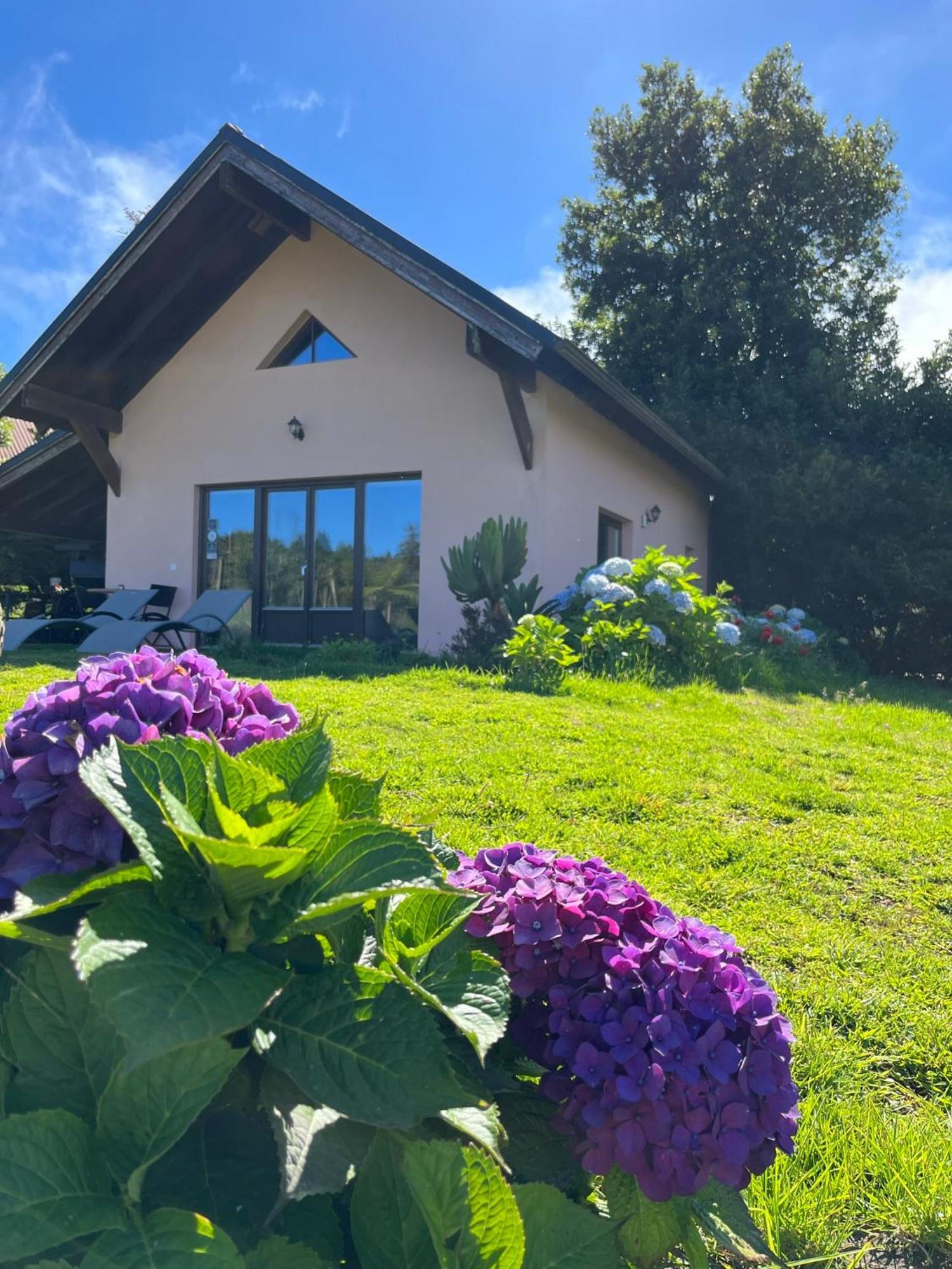 Bio Quinta Do Pantano, Agro Turismo Villa Santo Antonio da Serra Eksteriør billede