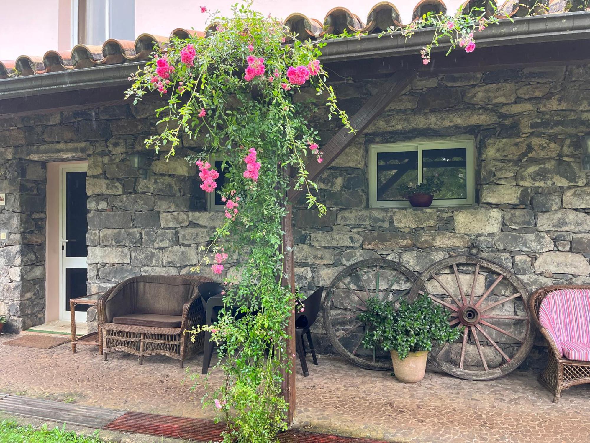 Bio Quinta Do Pantano, Agro Turismo Villa Santo Antonio da Serra Eksteriør billede