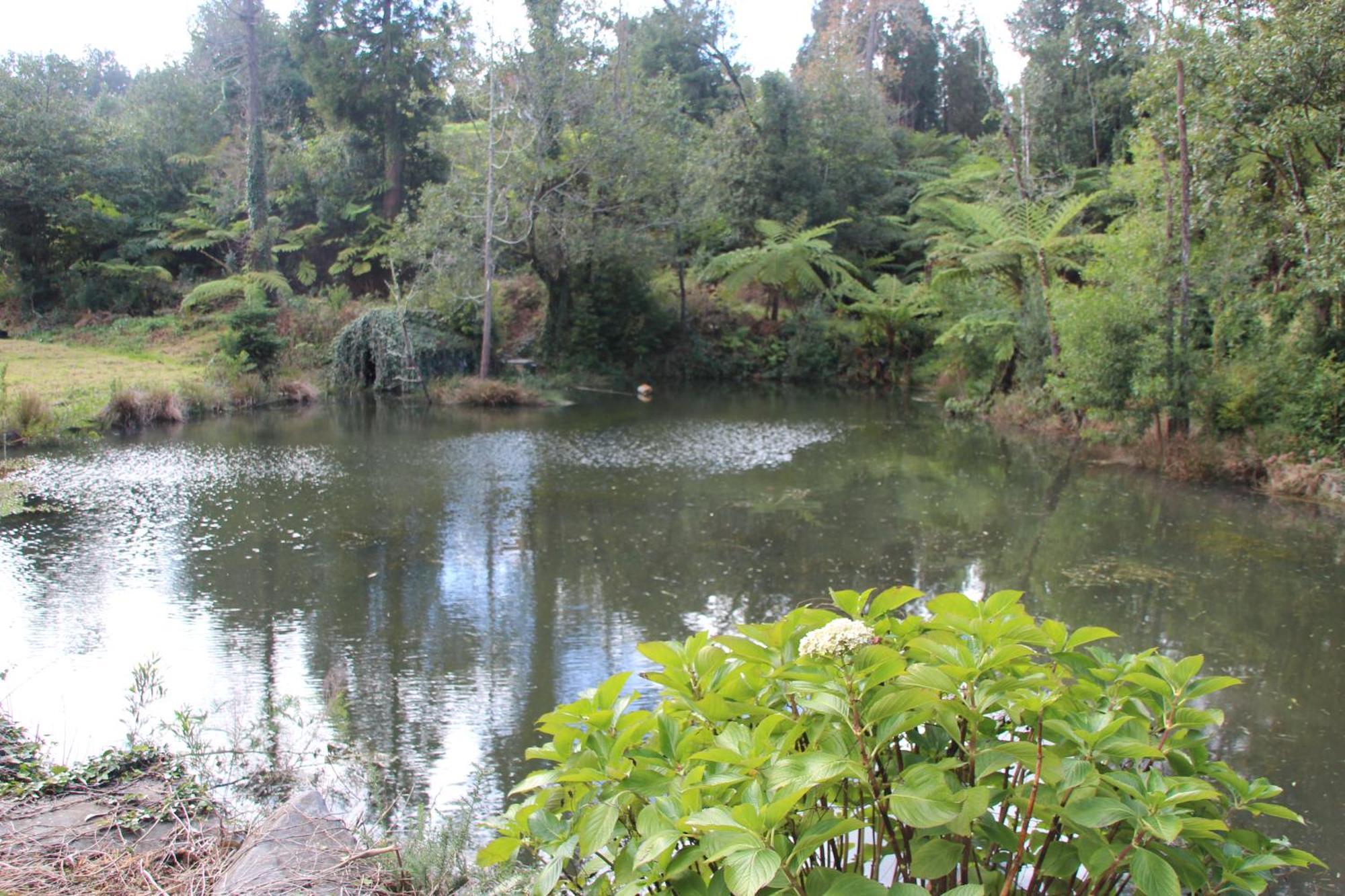 Bio Quinta Do Pantano, Agro Turismo Villa Santo Antonio da Serra Eksteriør billede