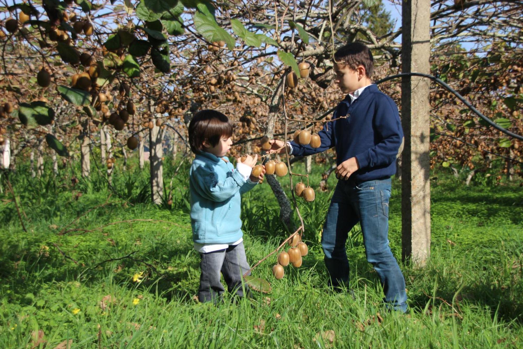 Bio Quinta Do Pantano, Agro Turismo Villa Santo Antonio da Serra Eksteriør billede