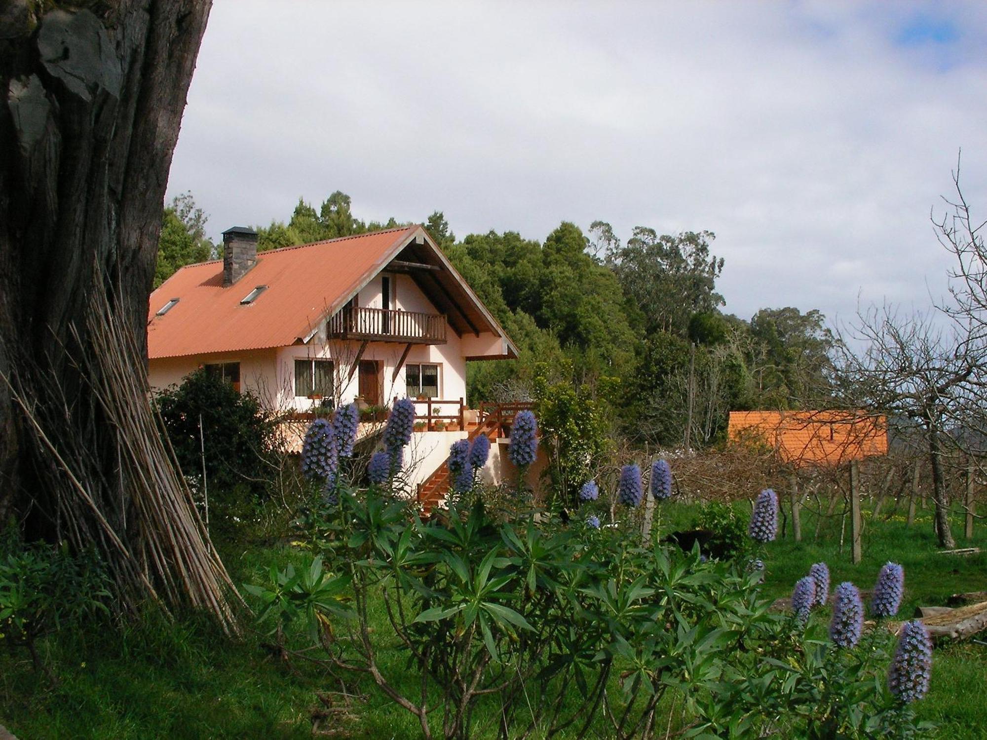Bio Quinta Do Pantano, Agro Turismo Villa Santo Antonio da Serra Eksteriør billede