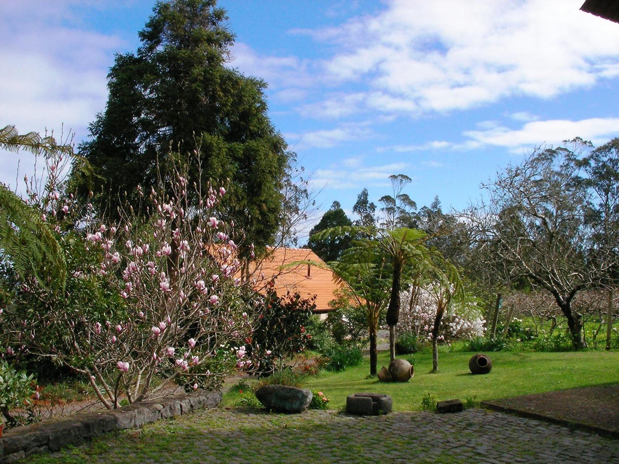 Bio Quinta Do Pantano, Agro Turismo Villa Santo Antonio da Serra Eksteriør billede