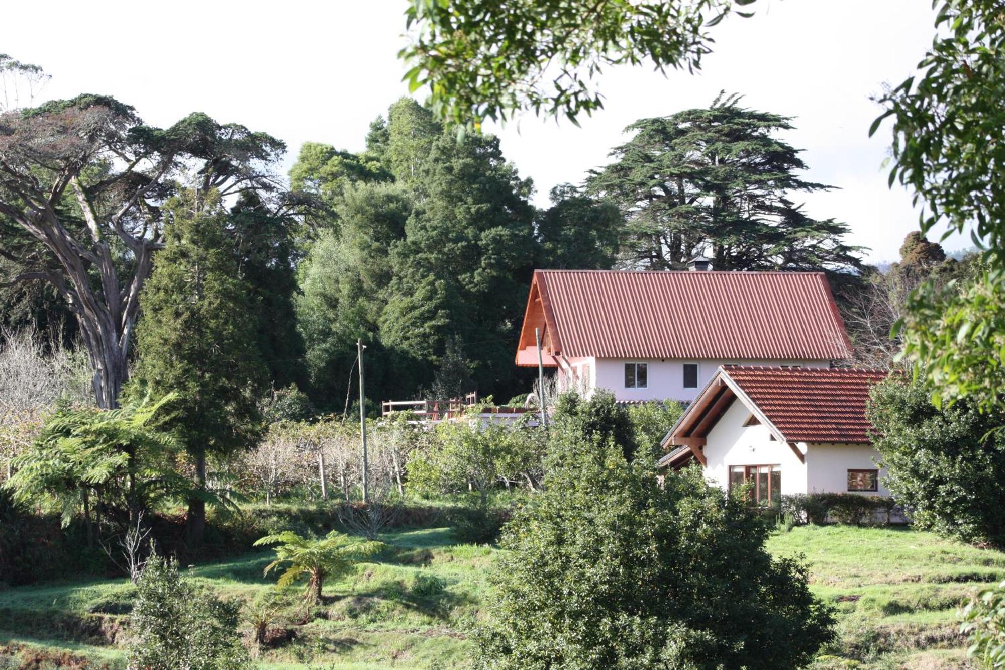Bio Quinta Do Pantano, Agro Turismo Villa Santo Antonio da Serra Eksteriør billede