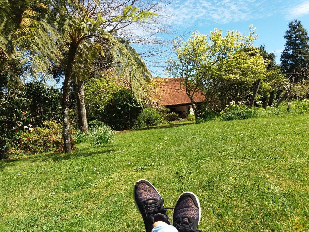 Bio Quinta Do Pantano, Agro Turismo Villa Santo Antonio da Serra Eksteriør billede