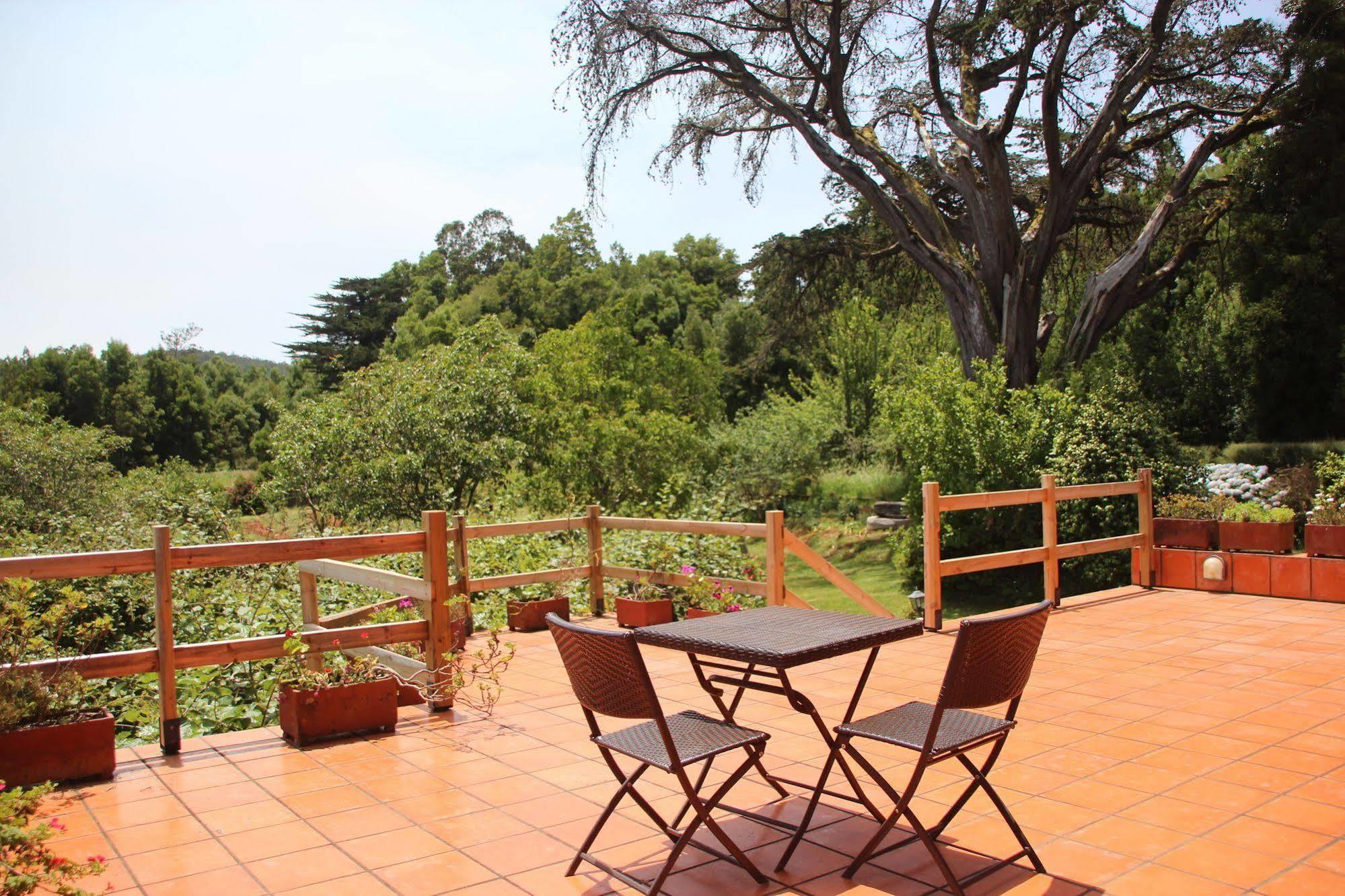 Bio Quinta Do Pantano, Agro Turismo Villa Santo Antonio da Serra Eksteriør billede